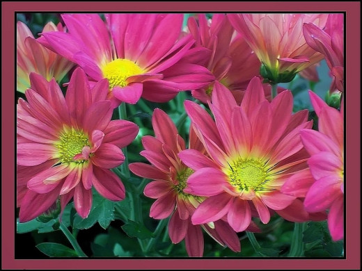 422630 (a): :1024x768